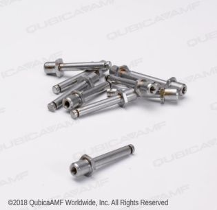 070002654BG PIVOT SHAFT BAG/10