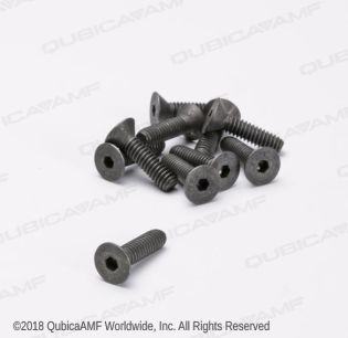 808849160BG 1/4-20 X 1 SCR SOFL BAG/10