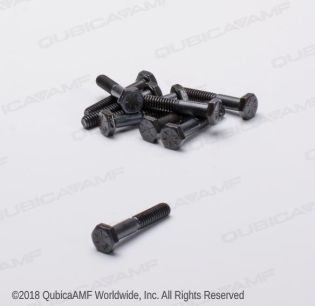 809849245BG 1/4-20 X 1 1/2 SCR HX BAG/10