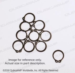 919005300BG #5100-37 RETAIN RING BAG/10